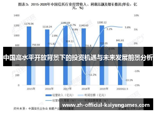 中国高水平开放背景下的投资机遇与未来发展前景分析