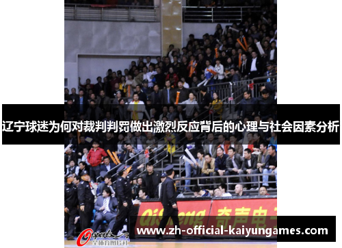 辽宁球迷为何对裁判判罚做出激烈反应背后的心理与社会因素分析