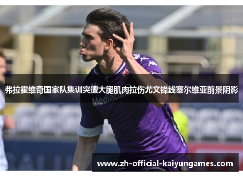 弗拉霍维奇国家队集训突遭大腿肌肉拉伤尤文锋线塞尔维亚前景阴影 弗拉霍维奇国家队集训突遭大腿肌肉拉伤尤文锋线塞尔维亚前景阴影